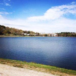 1656240_10102244523927860_3263577657707256681_n[1]